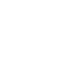 System SMS